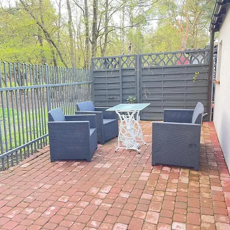 Nad Jeziorem W Puszczy Zielonka *