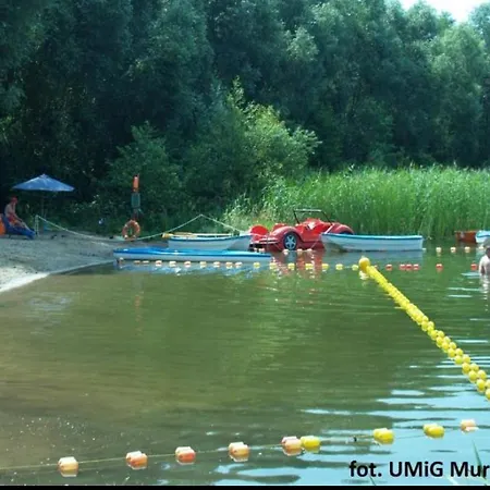 Nad Jeziorem W Puszczy Zielonka