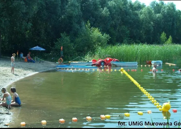 Nad Jeziorem W Puszczy Zielonka