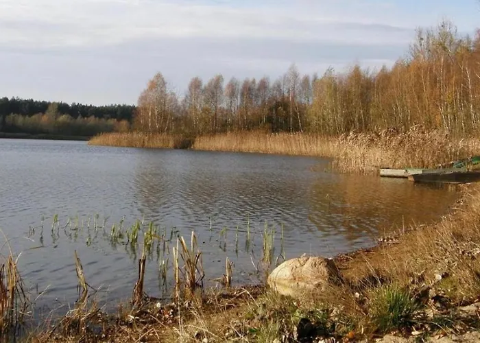 Nad Jeziorem W Puszczy Zielonka * Kaminsko