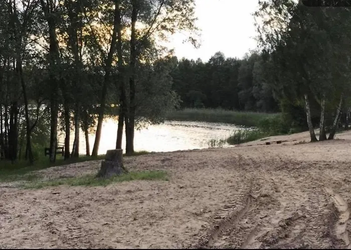 Nad Jeziorem W Puszczy Zielonka Kaminsko